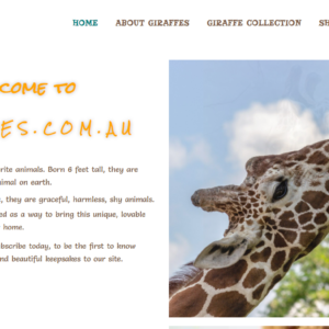 The IT Generalist Design Agency Giraffes.com.au Author Websites